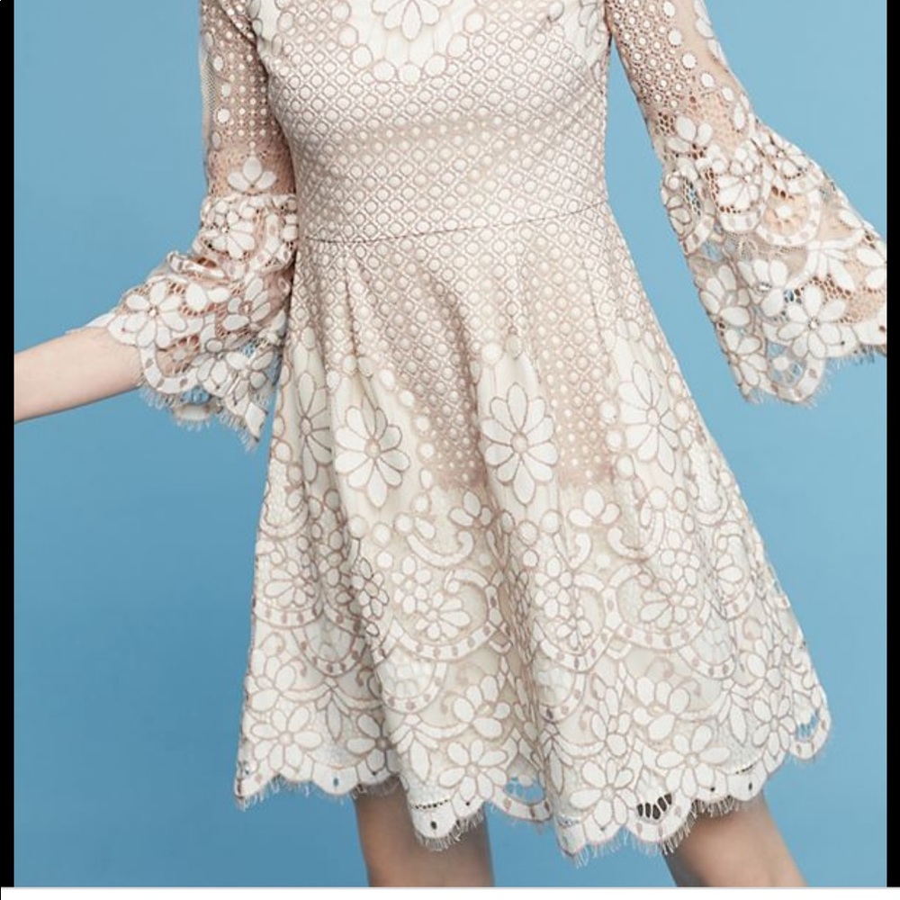 Anthropologie Eliza J Lace Dress